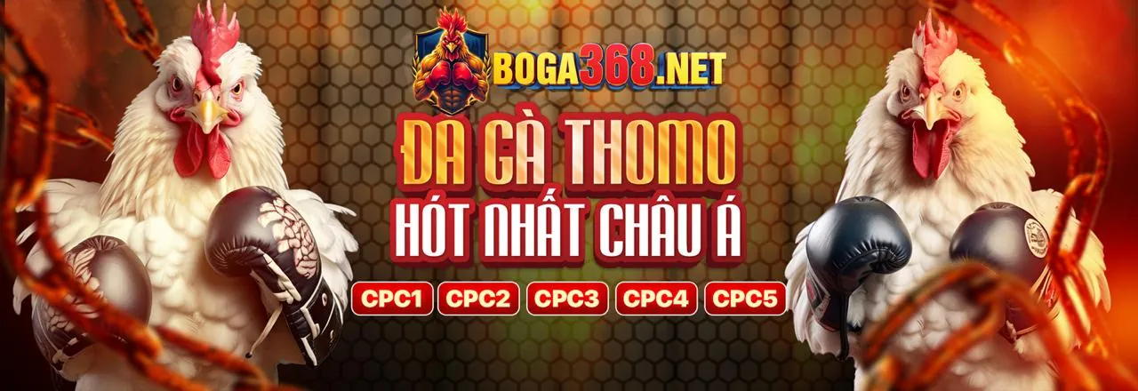 Ứng dụng manclup code 2026 trên điện thoại di động